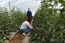 观光采摘园视频,观光采摘园精彩瞬间集锦