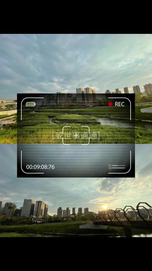 环境视频,揭示自然之美与挑战