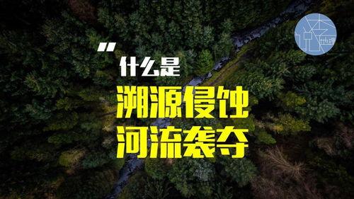 热门大瓜 第2页