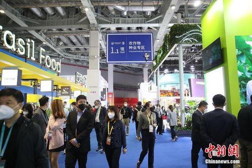 进口博览会视频,多元文化交融，共筑开放新篇章