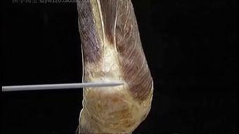 不净观解剖女尸视频,女尸解剖视频引发的伦理争议