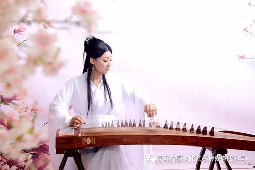 凉凉古筝视频,探寻“凉凉”旋律背后的古典魅力