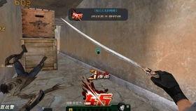 生死狙击波斯弯刀视频