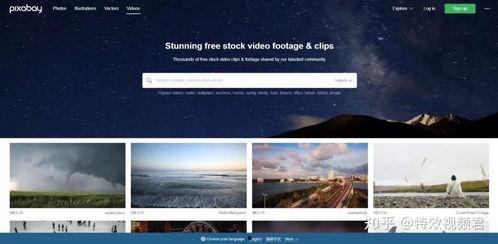 视频无版权,探索无版权视频的创意无限可能