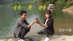 壮乡小莫视频,探寻广西民族风情与乡村变迁