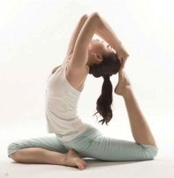 瑜伽入门教学视频