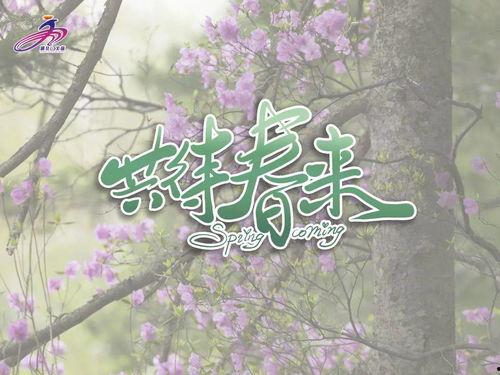 春天歌曲视频,舞动心弦——春天歌曲视频赏析